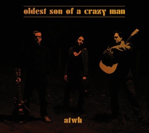 Anspruchsvollere Cover-Versionen der Großen aus Folk, Rock und Country Dylan, Springsteen und Cash